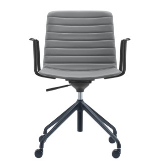 루시드4 그레이50개