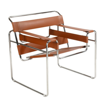 바실리 /브라운